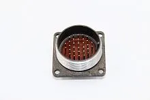 2РМ30БПЭ32Ш1В1 вилка фото